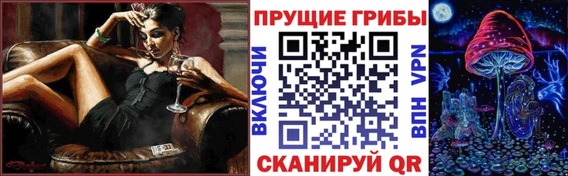 mega tor  площадка формула  Галлюциногенные грибы Psilocybe  Уварово 